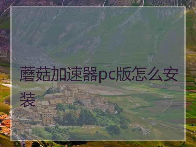 蘑菇加速器pc版怎么安装