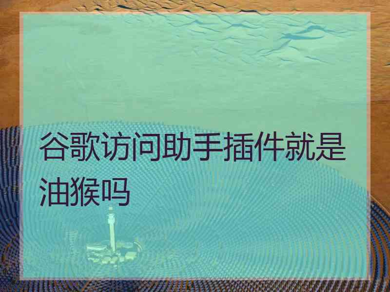 谷歌访问助手插件就是油猴吗