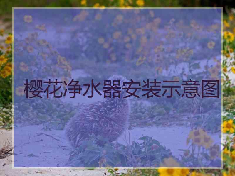 樱花净水器安装示意图