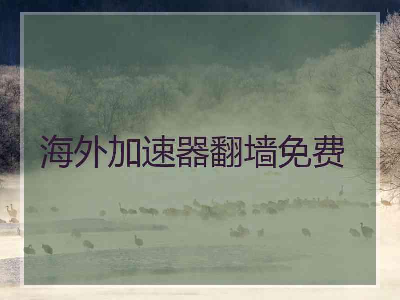 海外加速器翻墙免费