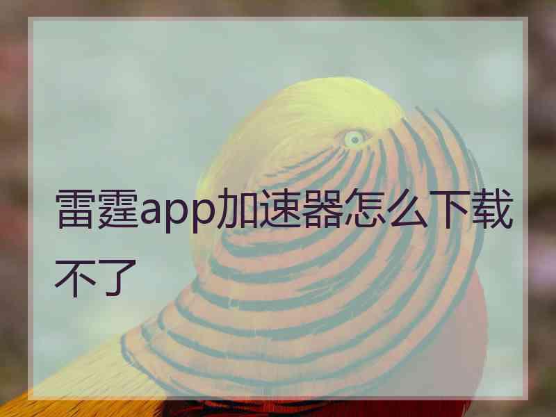 雷霆app加速器怎么下载不了