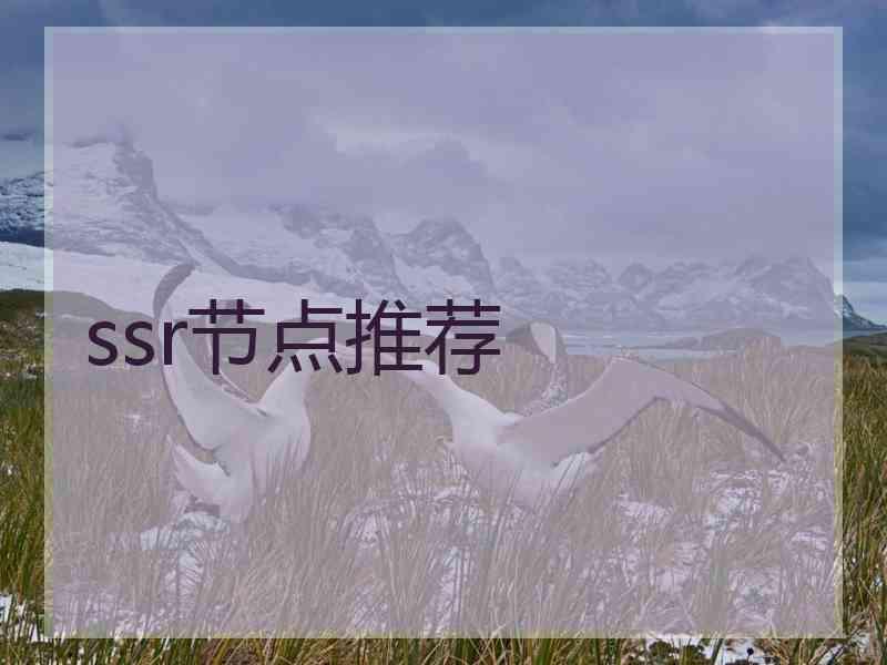 ssr节点推荐