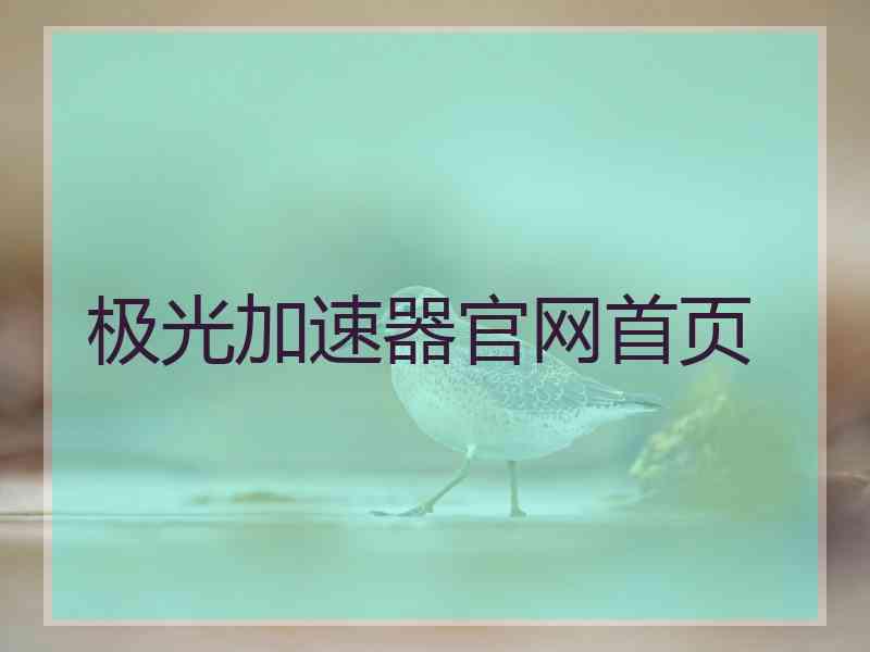 极光加速器官网首页