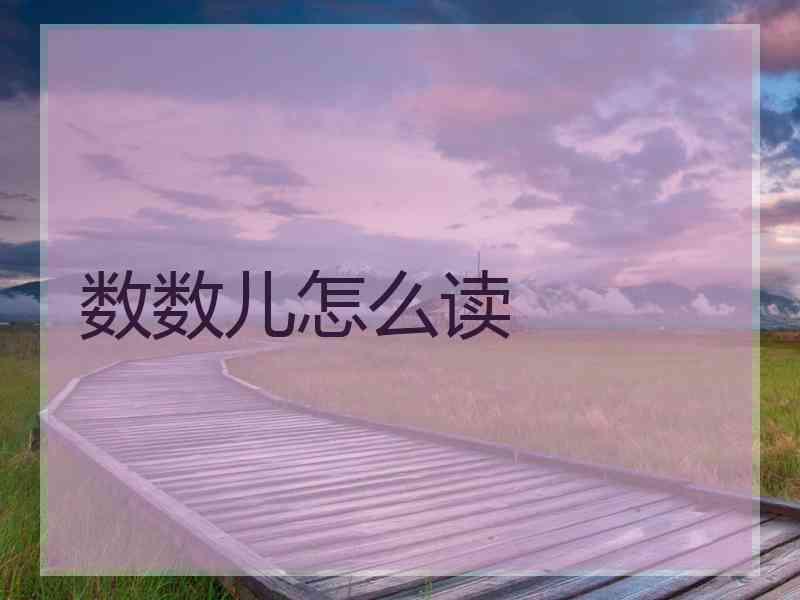 数数儿怎么读