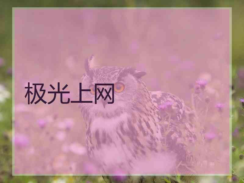极光上网