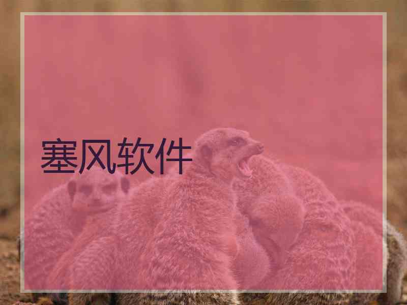 塞风软件