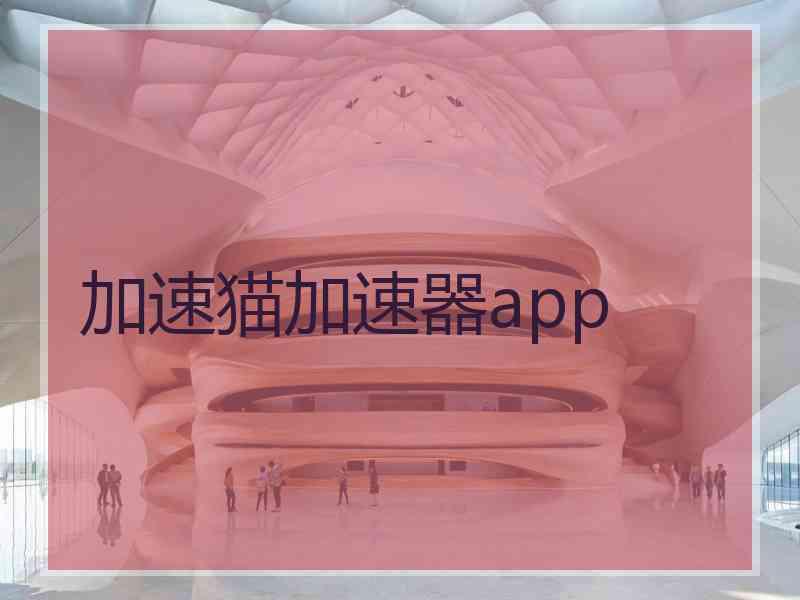 加速猫加速器app