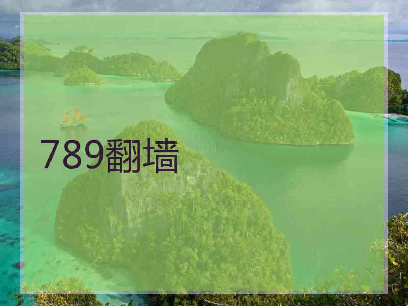 789翻墙