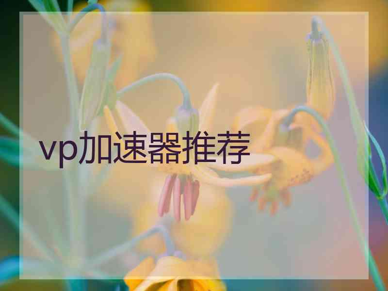 vp加速器推荐