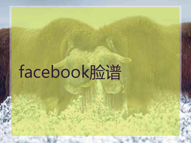 facebook脸谱