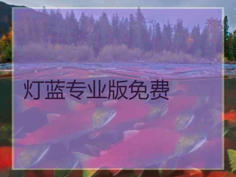 灯蓝专业版免费