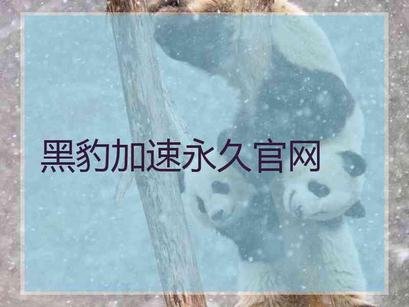 黑豹加速永久官网