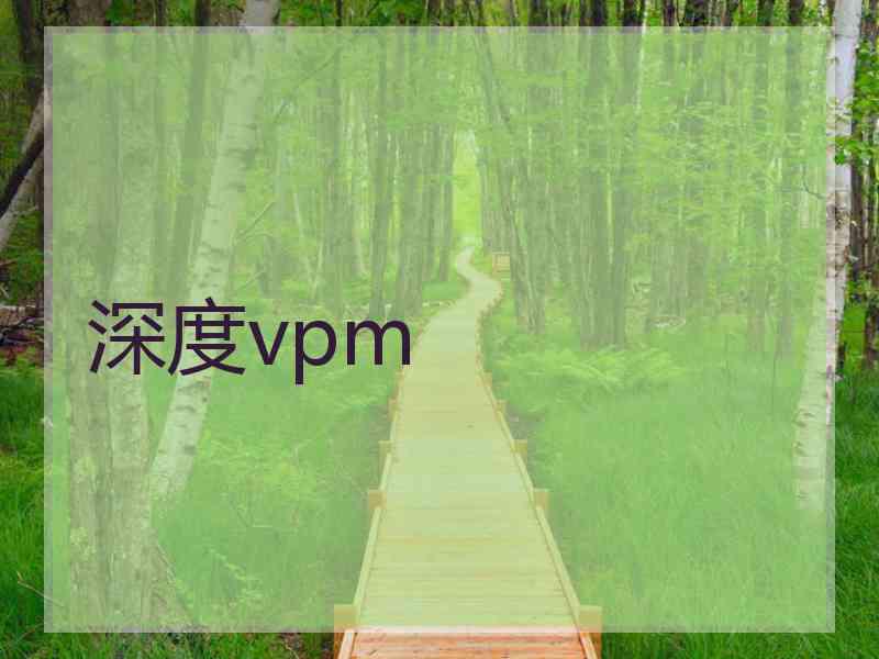 深度vpm