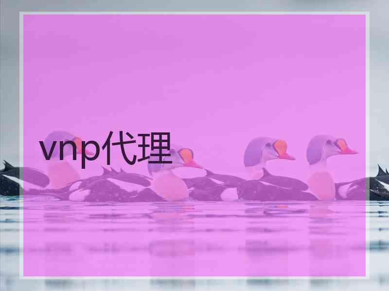 vnp代理