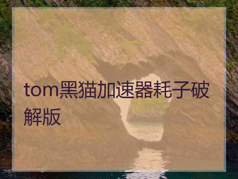 tom黑猫加速器耗子破解版