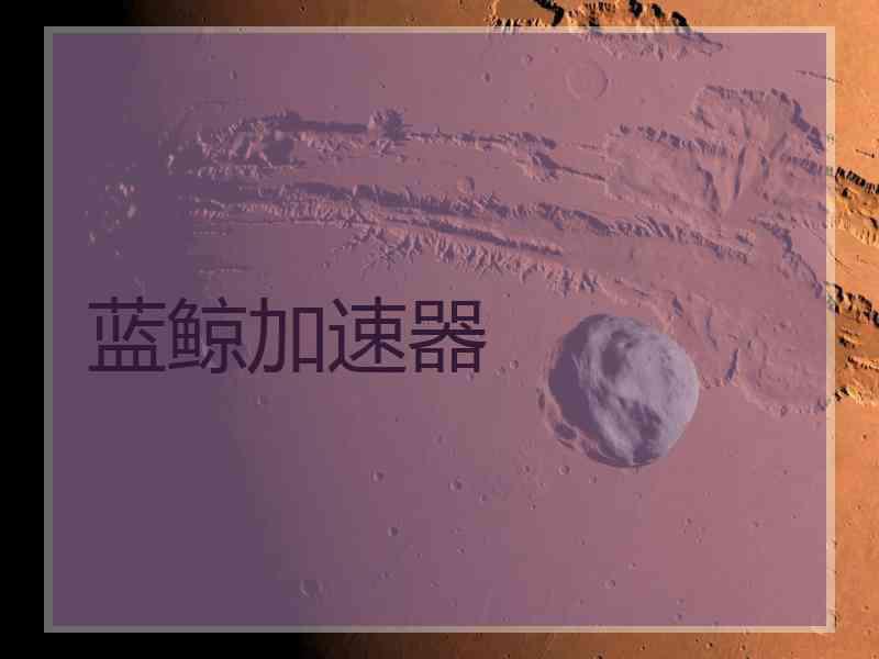 蓝鲸加速器