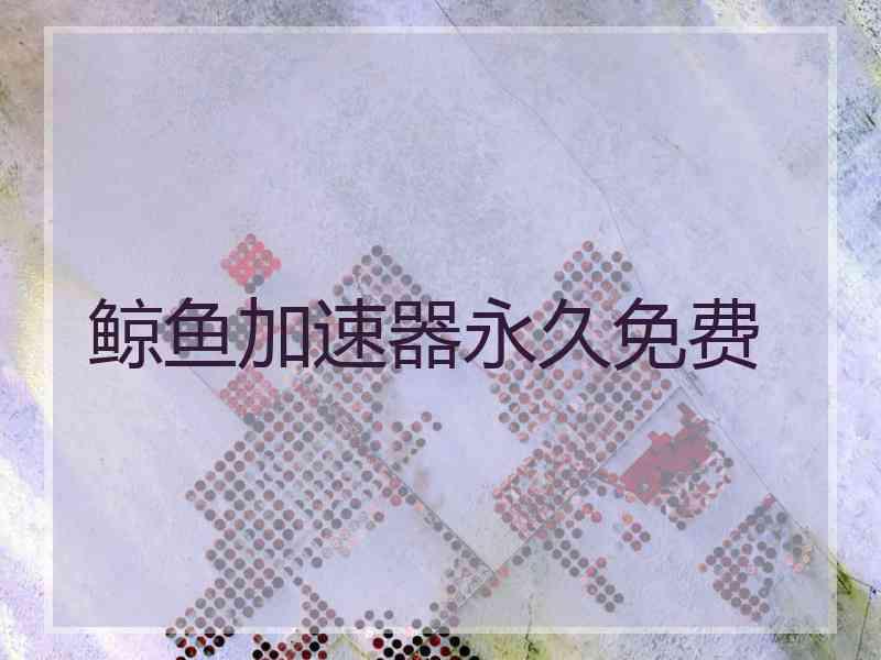 鲸鱼加速器永久免费