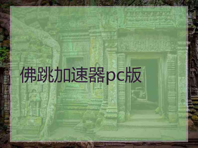 佛跳加速器pc版