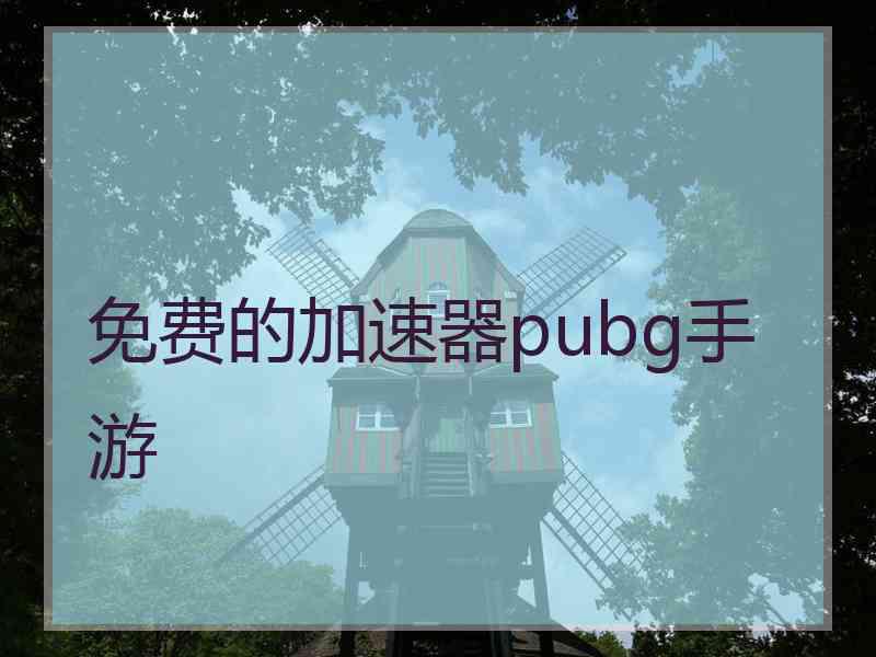 免费的加速器pubg手游