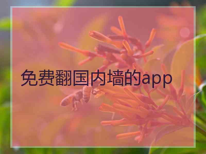 免费翻国内墙的app