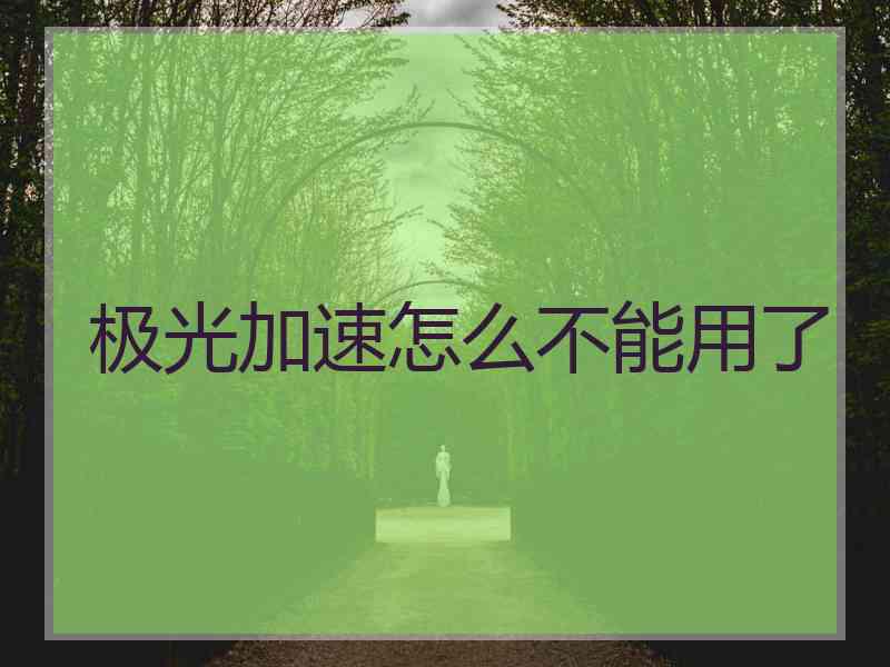 极光加速怎么不能用了