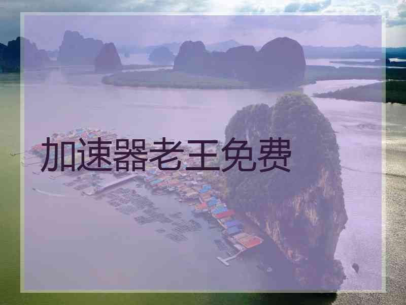 加速器老王免费