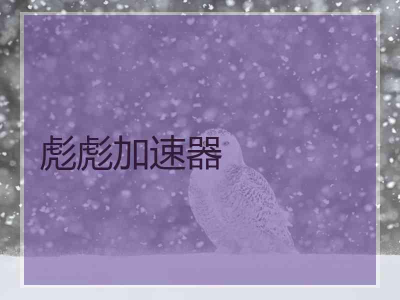 彪彪加速器