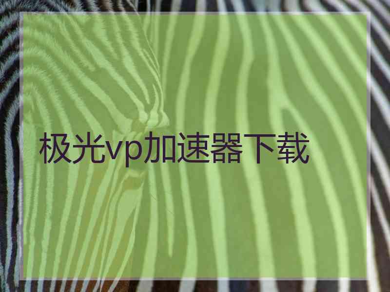 极光vp加速器下载