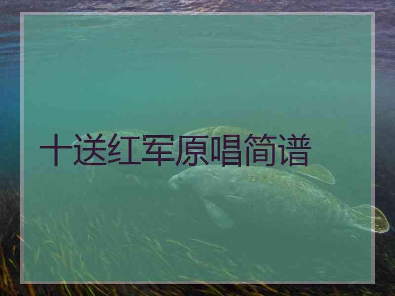 十送红军原唱简谱