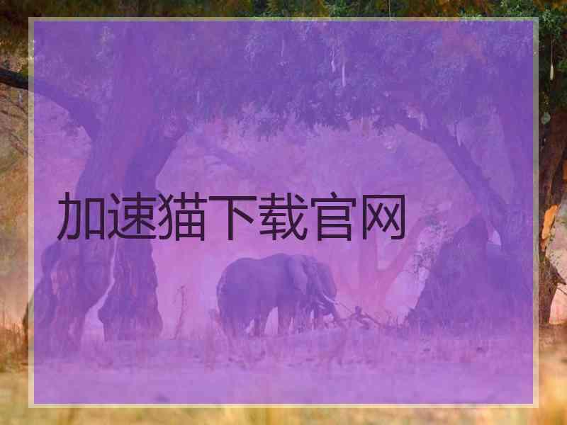 加速猫下载官网