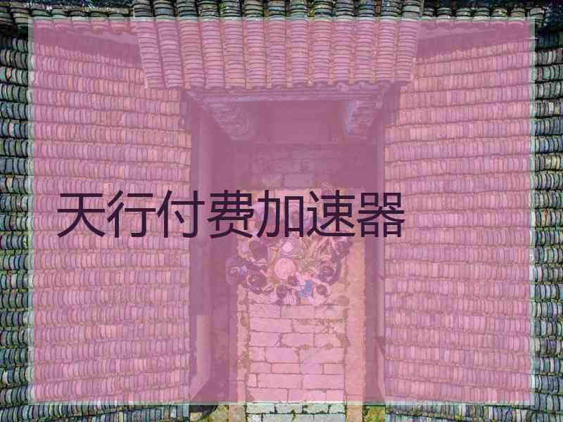 天行付费加速器