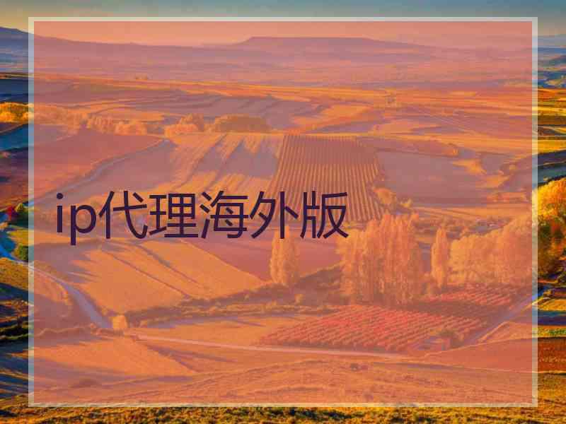 ip代理海外版