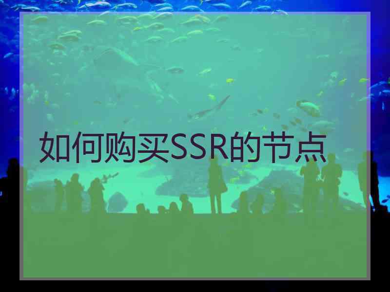 如何购买SSR的节点