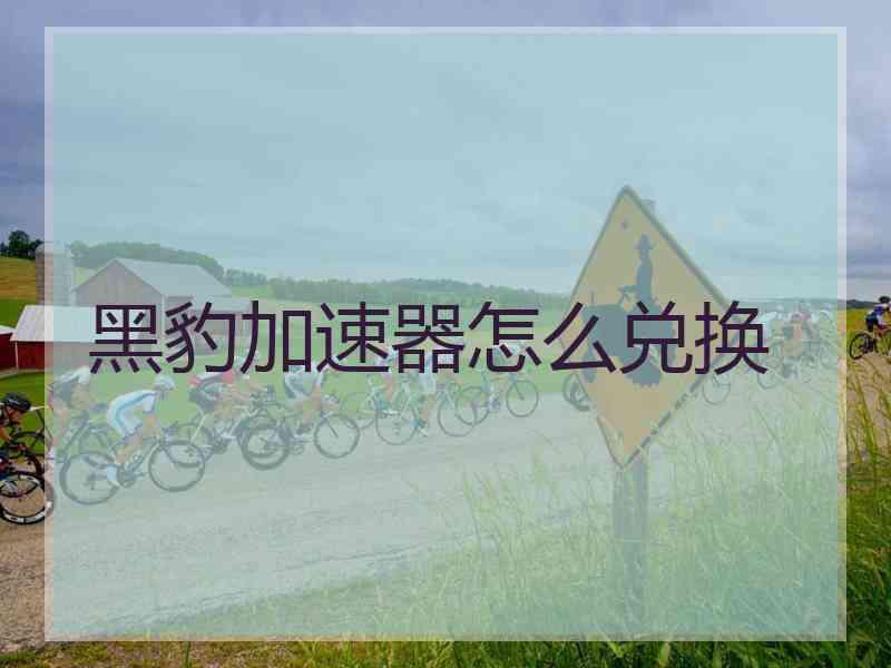 黑豹加速器怎么兑换