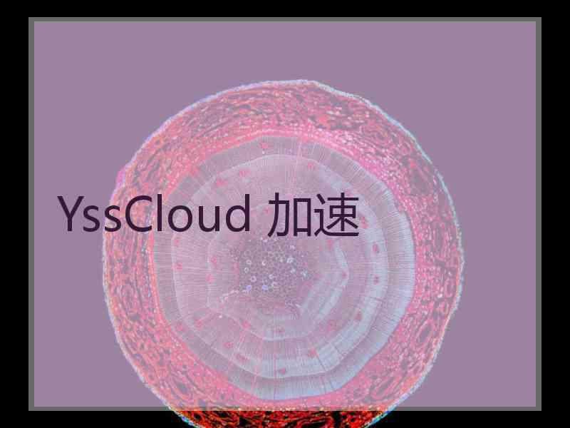 YssCloud 加速