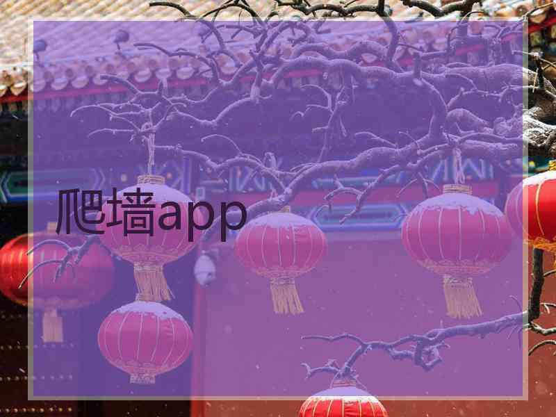 爬墙app