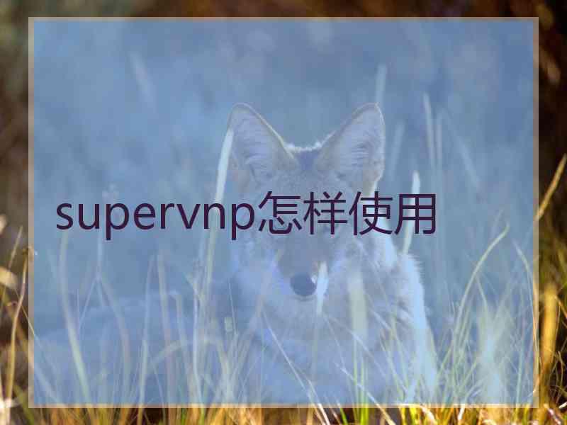 supervnp怎样使用