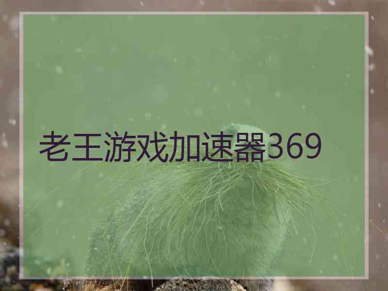 老王游戏加速器369