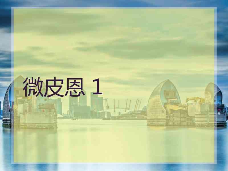 微皮恩 1