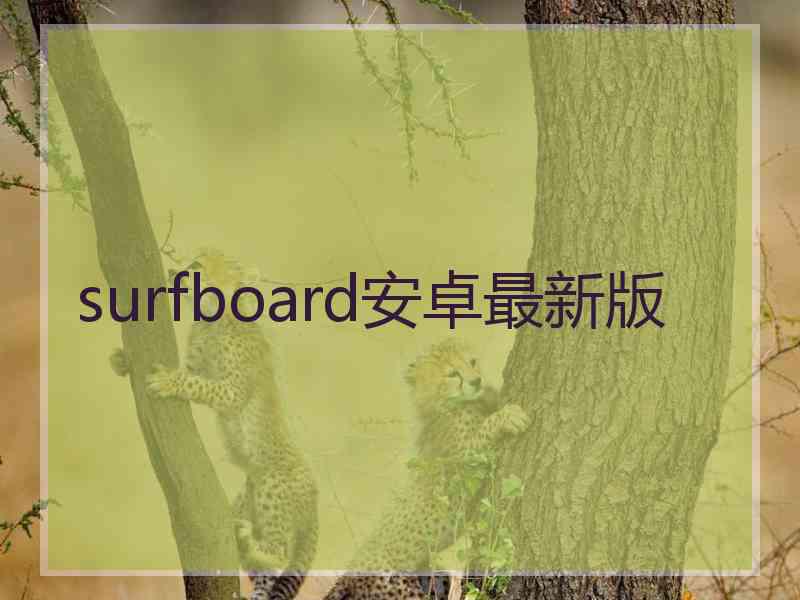 surfboard安卓最新版