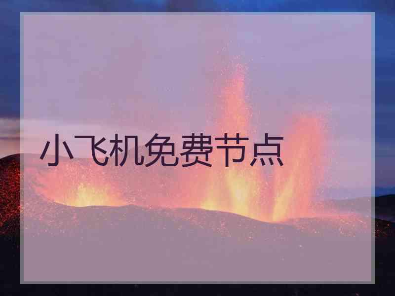 小飞机免费节点