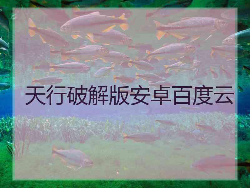 天行破解版安卓百度云