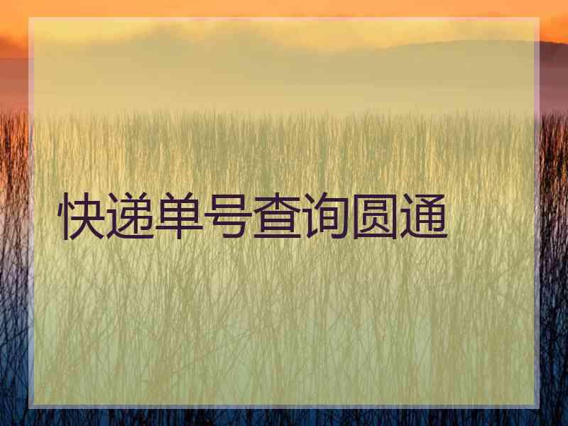 快递单号查询圆通