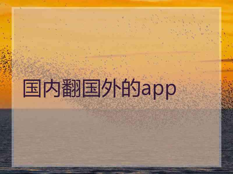 国内翻国外的app