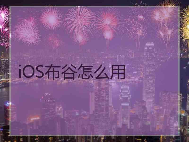 iOS布谷怎么用