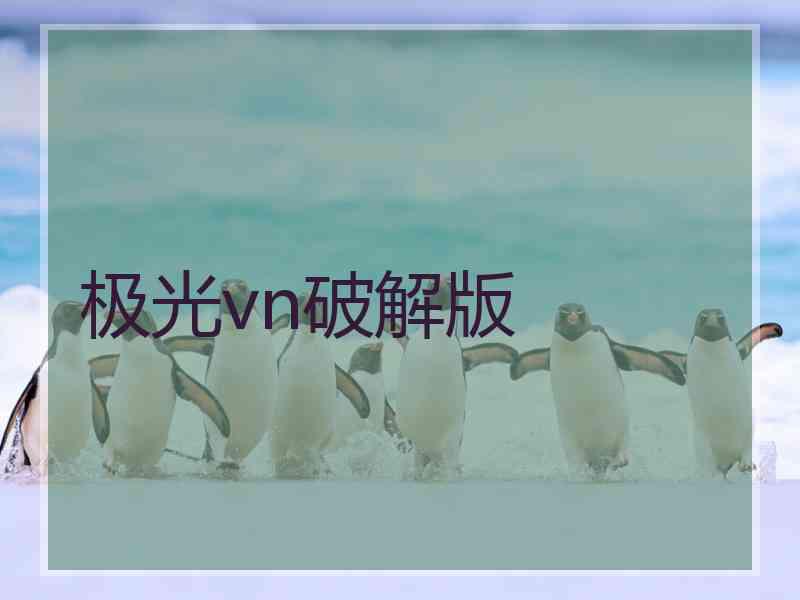 极光vn破解版