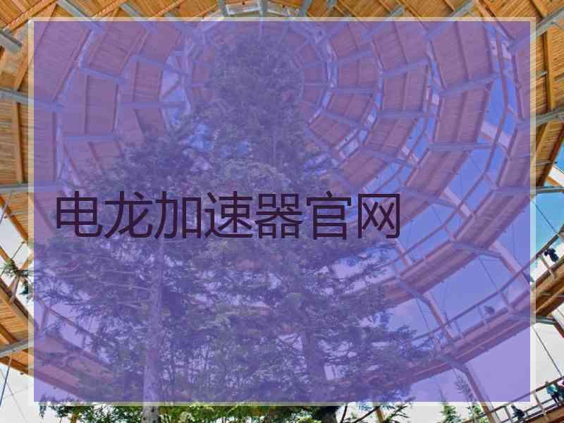 电龙加速器官网