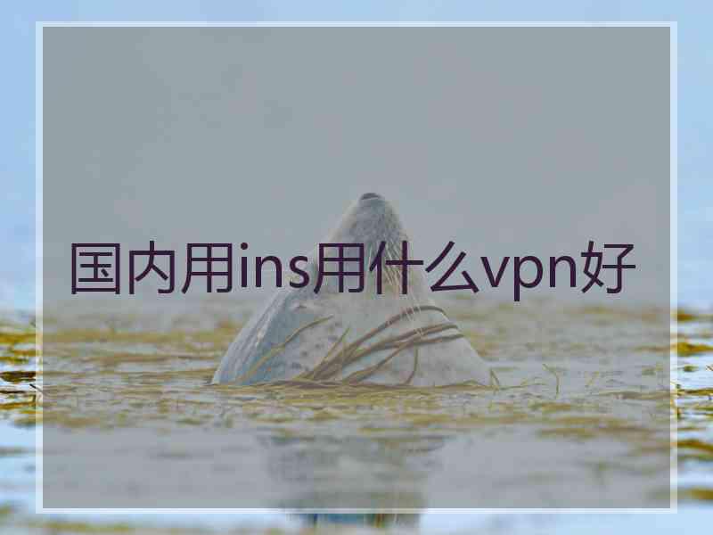 国内用ins用什么vpn好