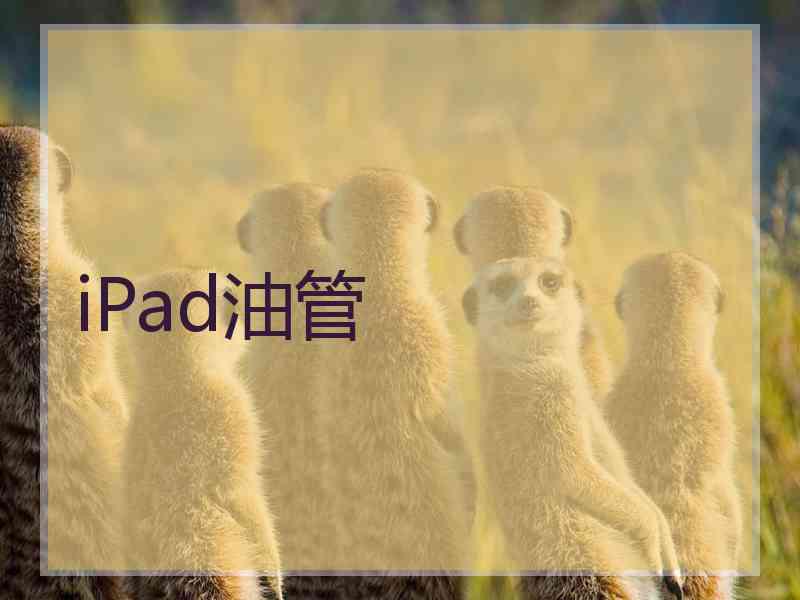 iPad油管