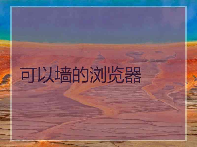 可以墙的浏览器